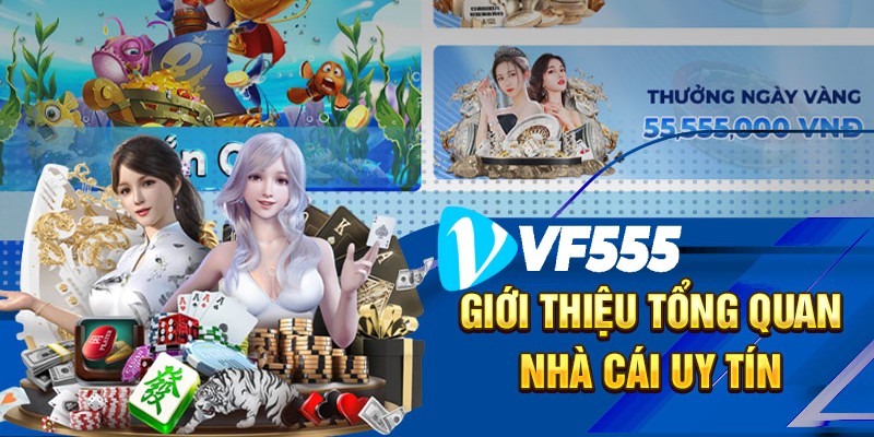Đại lý VF555 cần lưu ý gì?